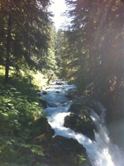 Sol Duc Falls