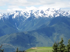 Mount Olympus is the tall one to the right, the trail we just came up can be seen at the bottom